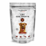 CoreActive CBD Dog Treats Image